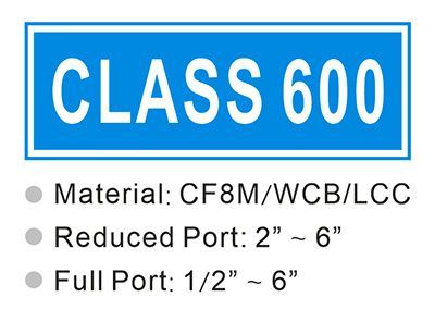 CLASS 600